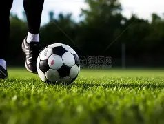 山东男篮常,规赛收官战,败北,世界杯直播,2026世界杯,比赛回放,实时赛程,足球直播