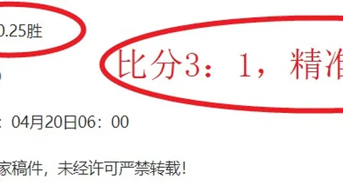 2025丽水马拉松前三名揭晓：半程冠军根在丽水同乡